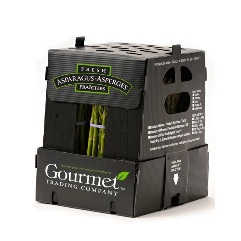 Customizable PP Packing Boxes Customizable PP Packing Boxes