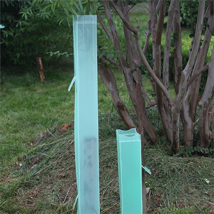 grape vine protectors price(001)