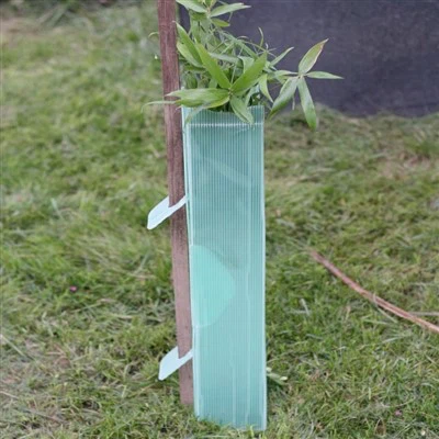 Protège-arbres en plastique Coroplast vert
