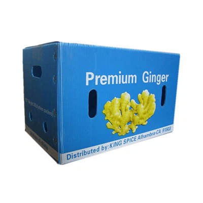 Boîte de chiffre d'affaires en plastique creux PP