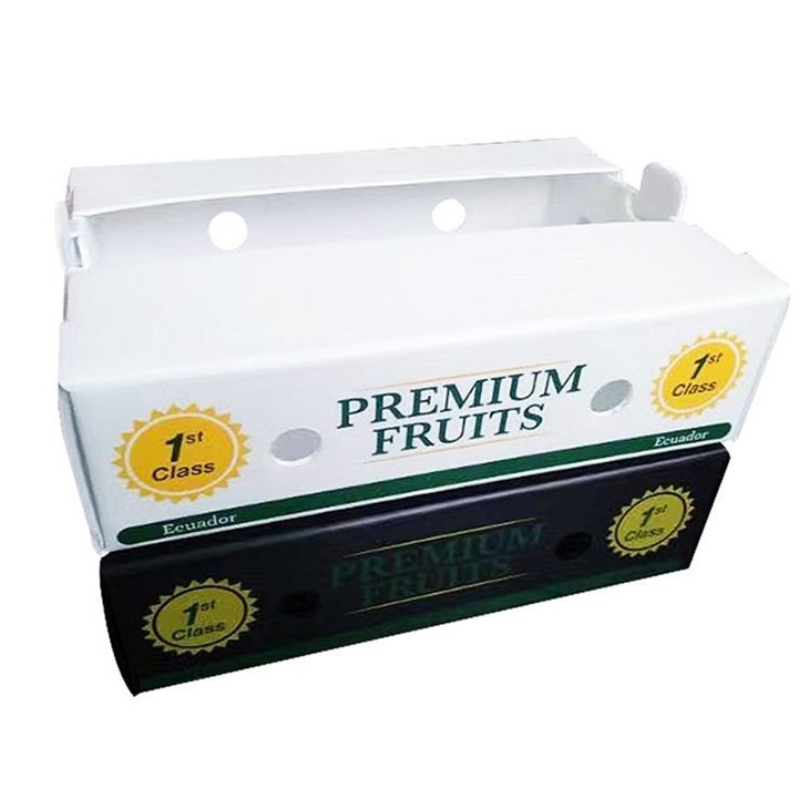 Foldable Fresh Fruit Vegetable Coroplast Box