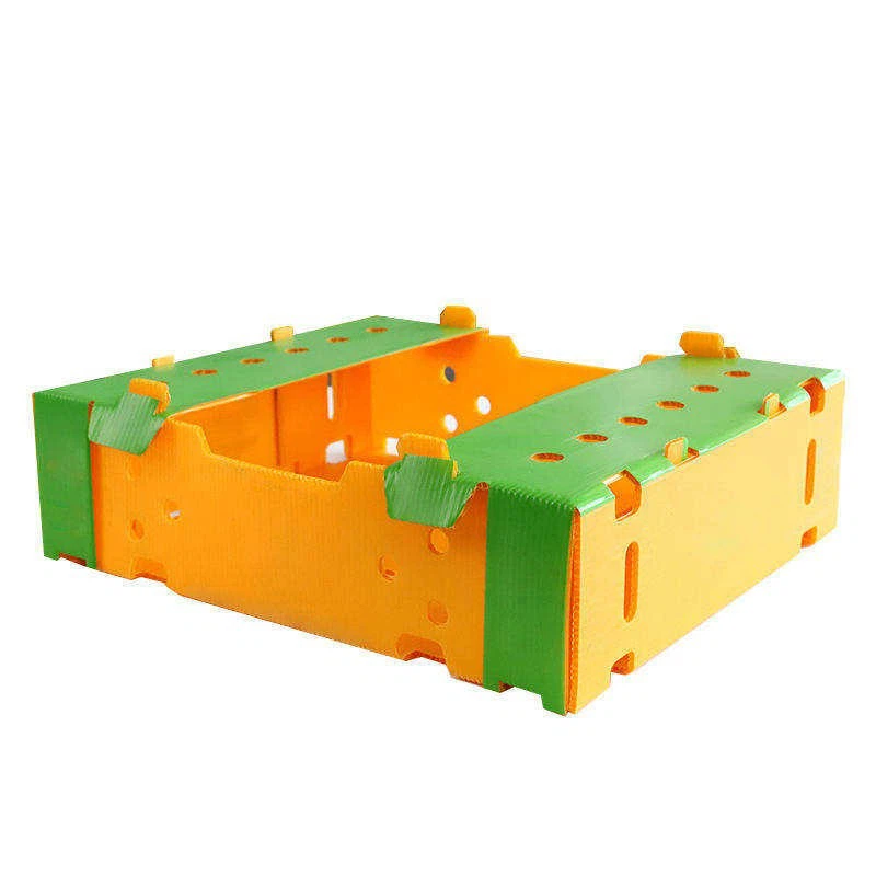 Folding PP Corrugated Plastic Box