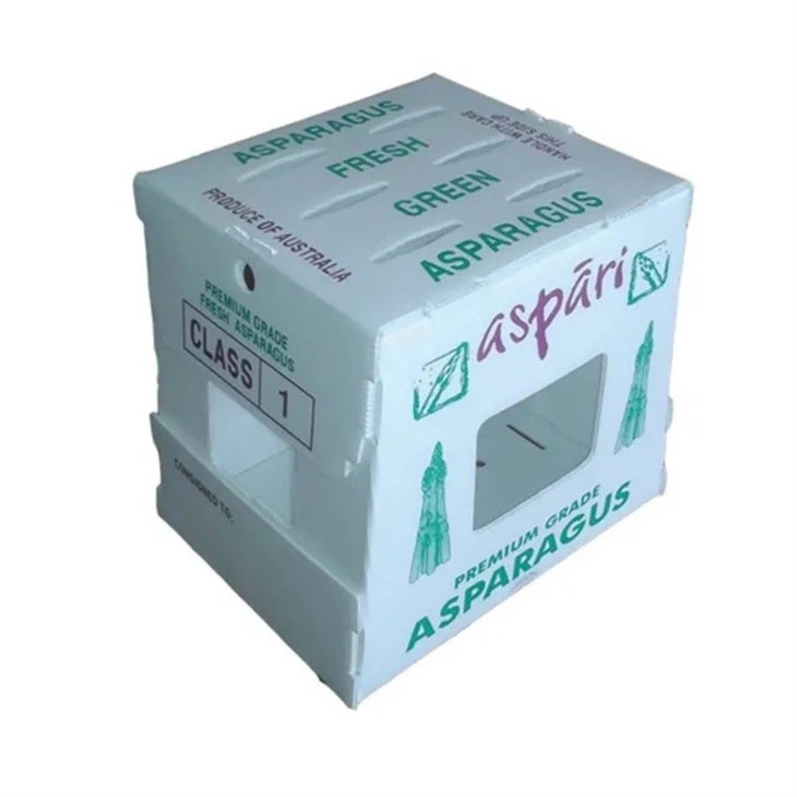 Pp Corrugated Plastic Box
