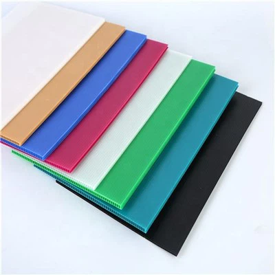 Feuille creux PP Cutting Die