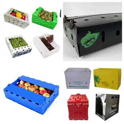 Boîte d'emballage de fruits