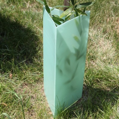 PP Protecteur d'arbres en plastique